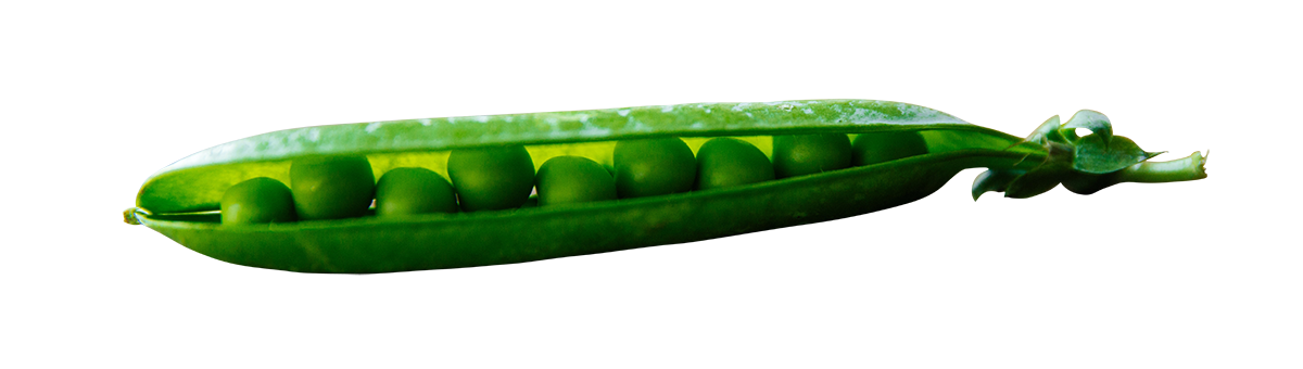 green peas image, green peas png, green peas png image, green peas transparent png image, green peas png full hd images download